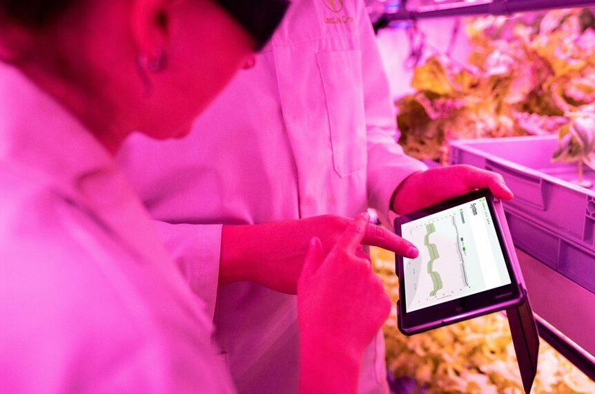 enhance growth with digital tools