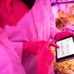 maximize growth with digital tools